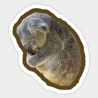 Sleeping Koala Bear Sticker